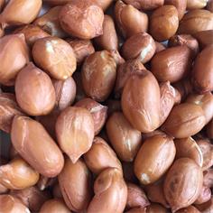 Cacahuete Mondado USA J. 38/42