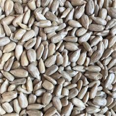 Pipas Mondadas Confectionery