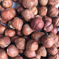 Shelled Hazelnuts 14/16 Turkey