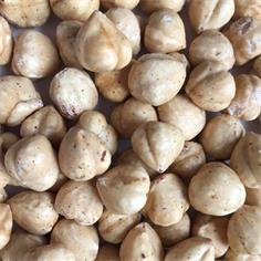 Turkish blanched slightly roasted hazelnut 12/14