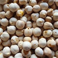 Turkish White Roasted CHICKPEAS 9 mm