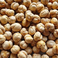 Turkish Yellow R&S chickpeas 9 mm