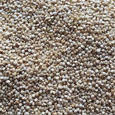 Quinoa Blanca