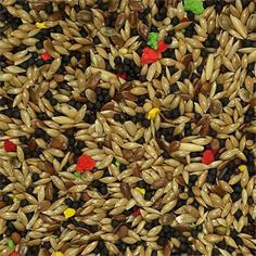 Mixtura Canarios *VINCI* 1 kg.