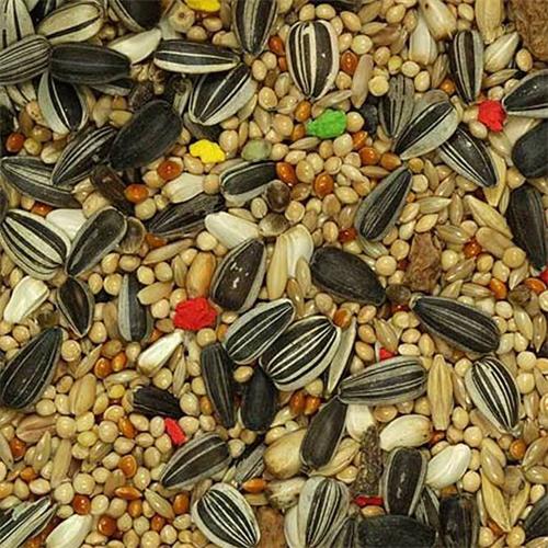 Mixtura Agapornis *VINCI* 5 kg