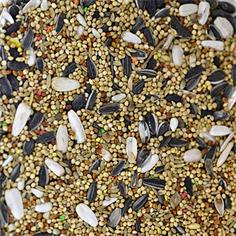 Mixt.Cotorras-Ninfas VINCI 1Kg