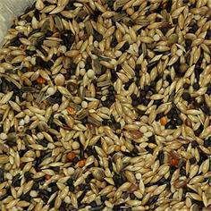 Mixtura Jilgueros *VINCI* 20 K