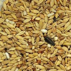 Mixt. Palomas VINCI Depurativa