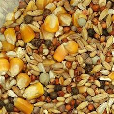 Mixtura Profesional Base 20 kg