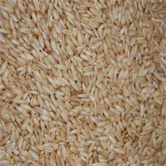 Avena Pelada VINCI 1 kg.