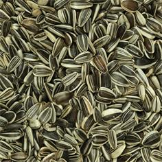 Pipas Gir.Pequeñas VINCI 3 kg.