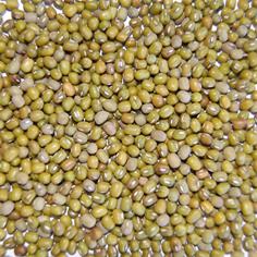 Judia Mungo-Soja Verde Pájaros