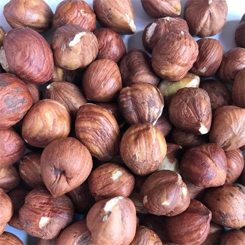 Shelled Hazelnuts 13/15 Turkey