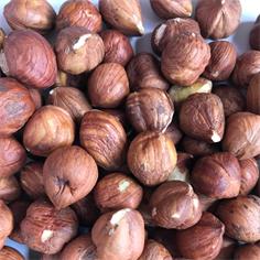 Avellana Mondada Eco. Turquía