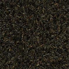 Negrillo VINCI 20 kg.