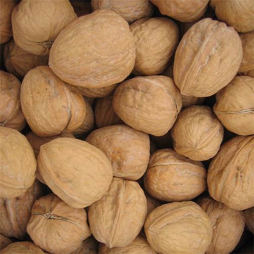 Nueces Cásc. Jumbo USA Hartley