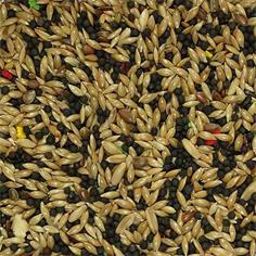 Mixtura Canarios *TIRA* 1 Kg