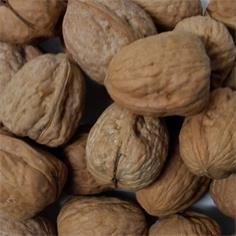 Nueces Cásc. Jumbo USA Hartley 2