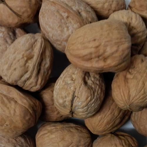 Nueces Cásc. Jumbo USA Hartley