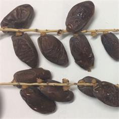 Dátiles Israel en Rama