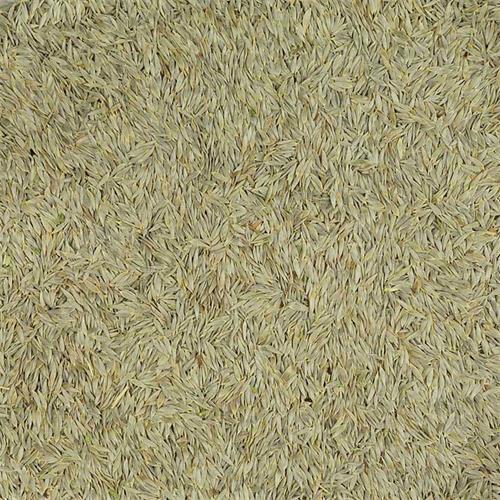 Lechuga Blanca 15 kg.