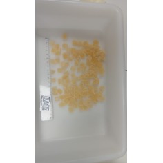 Mix.Palomos DEPORT.S/Maiz 20kg